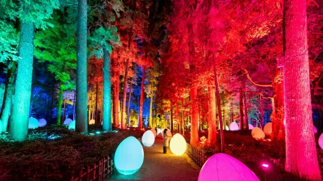 「チームラボ 偕楽園 光の祭 2022」
