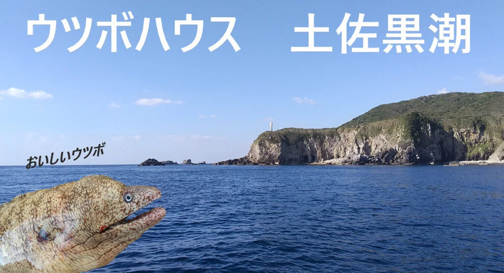 「ウツボハウス」