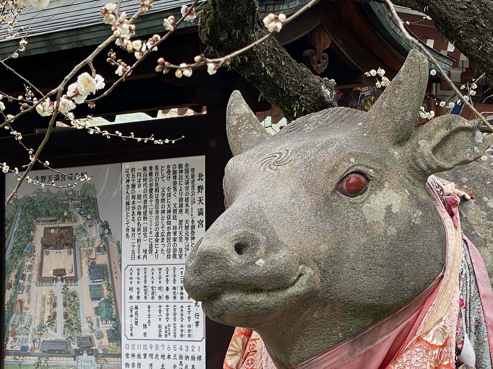 北野天満宮　ユージオ Amazon.co.jp: SAO 北野天満宮コラボ ユージオ : おもちゃ