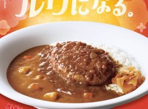 すき家「煮込みハンバーグカレー」