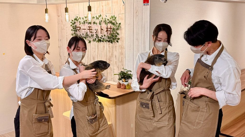 マーモットカフェ「マーモット村」